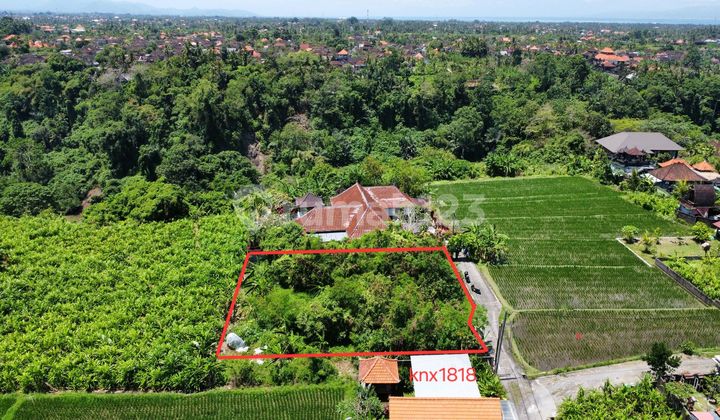 Tanah View.sawah. Link.villa.tegenungan. Tanah View.sawah. Link.villa.tegenungan.
