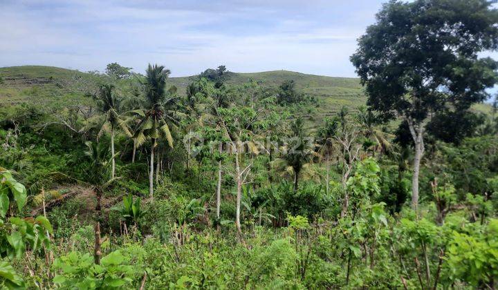 55 Juta Nusa Penida, Bukit Teletubbies  2