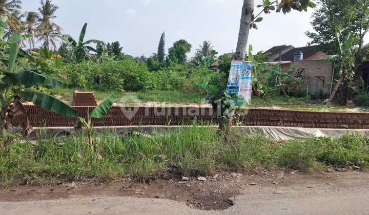 Dijual Tanah Lokasi Fajar Baru Lampung Selatan