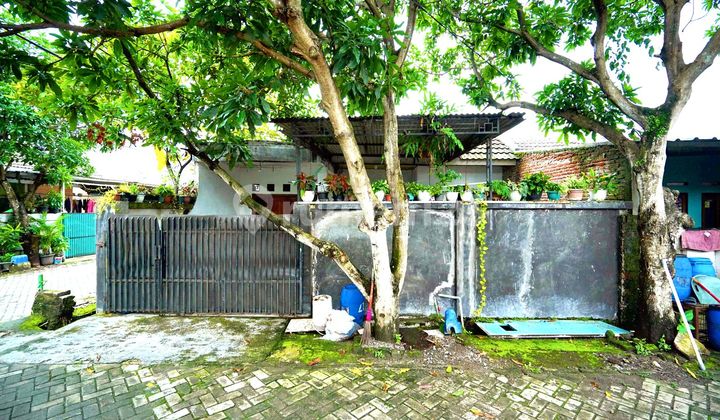Rumah LT 94 Terawat 10 menit ke RSIA Harapan Mulia Hadap Timur J19572