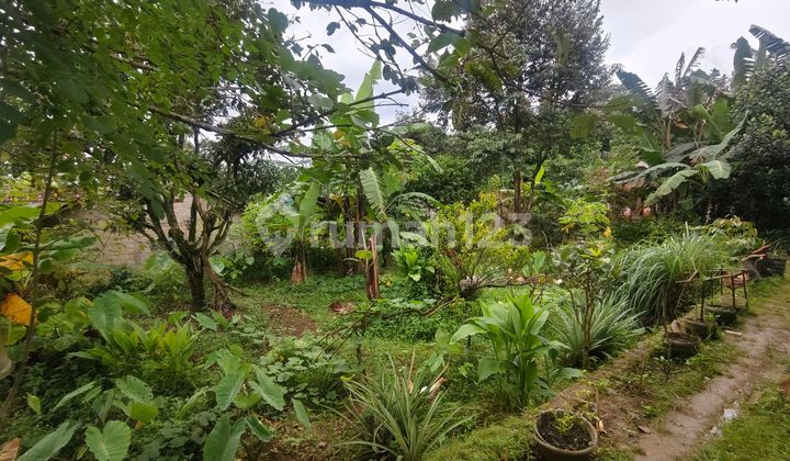 1-Story House with Spacious Land in Bogor Near Toll Gate Access, Assisted with Mortgage J41789 2