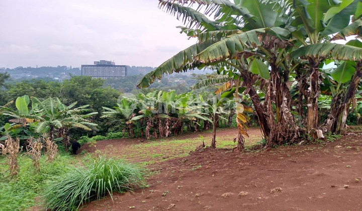 DIJUAL MURAH TANAH DI AWILIGAR VIEW KOTA BANDUNG DAN DAGO GOLF DIJUAL MURAH TANAH DI AWILIGAR VIEW KOTA BANDUNG DAN DAGO GOLF