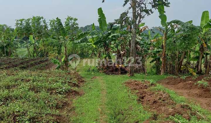 Unit Komersil Tanah Kavling Kosong Area Balaraja Tangerang Siap Dibangun