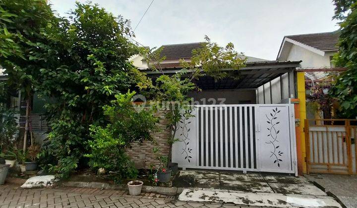 Rumah Cantik Siap Huni di Cileungsi Termurah Citra Indah City Semi Real Estate 1