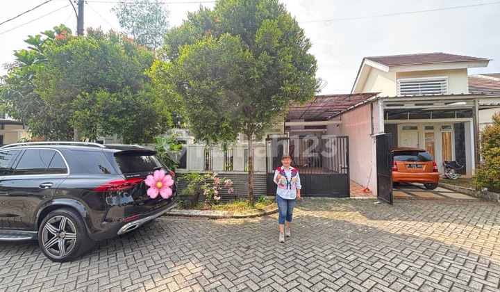 Rumah Sultan Mewah Siap Huni di Citra Indah City Rumah Sultan Mewah Siap Huni di Citra Indah City