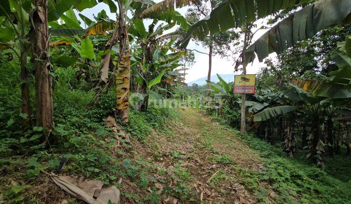 Jual Tanah Pinggir Jalan Desa Pandeglang, View Gunung, Masuk Mobil 2