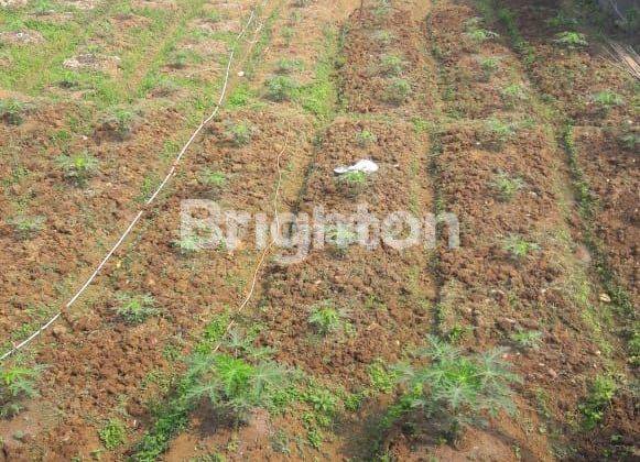 tanah darat sebelah lokasi wisata Situ Pasir Maung 1