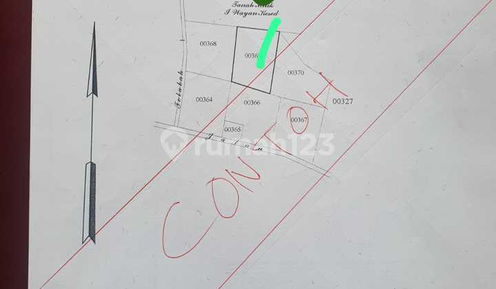 Villa Perwita D, Canggu - Freehold, Investasi 4 Villa Sewa, ROI Tinggi, Dekat Pantai & Fasilitas