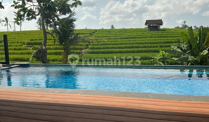 Freehold Villa Canggu Rp 5.9 Billion‼️ 14% ROI/Year : Rare Unit & Fully Furnished! Freehold Villa Canggu Rp 5.9 Billion‼️ 14% ROI/Year : Rare Unit & Fully Furnished!