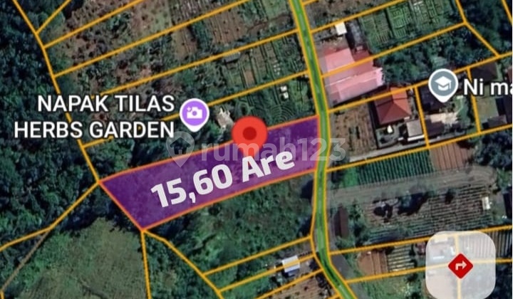 Garden Land in Yellow Zone Ready to Build in Bedugul, Tabanan