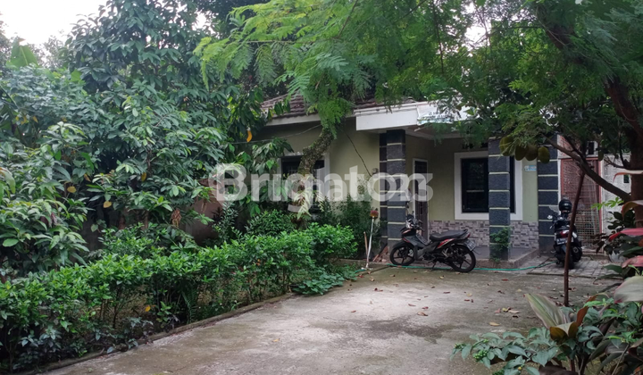 Tanah dan Rumah Luas Besar BARANG LANGKA di Graha Bintaro, Tangerang Selatan