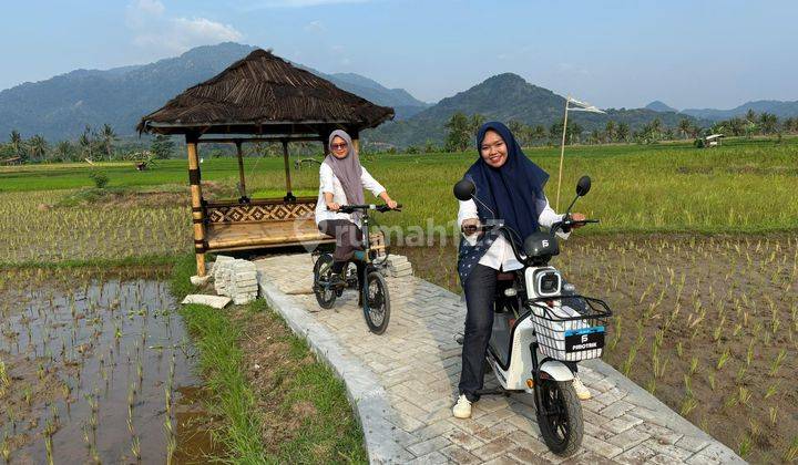 TANAH KAVLING SAWAH PRODUKTIF MURAH NEMPEL JALAN PROVINSI 2