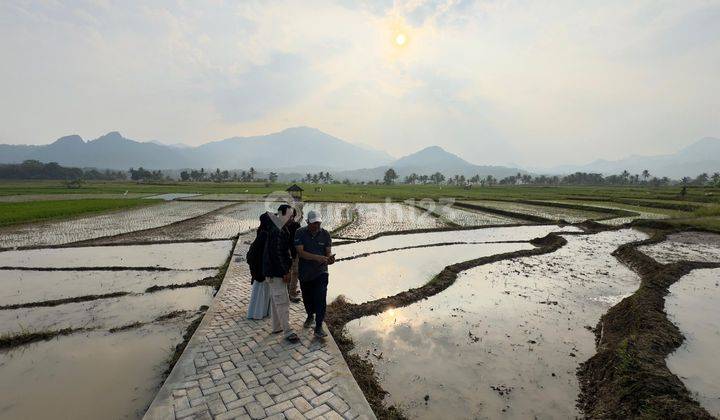 TANAH KAVLING SAWAH PRODUKTIF LOKASI NEMPEL JALAN PROVINSI DENGAN VIEW PEGUNUNGAN 1