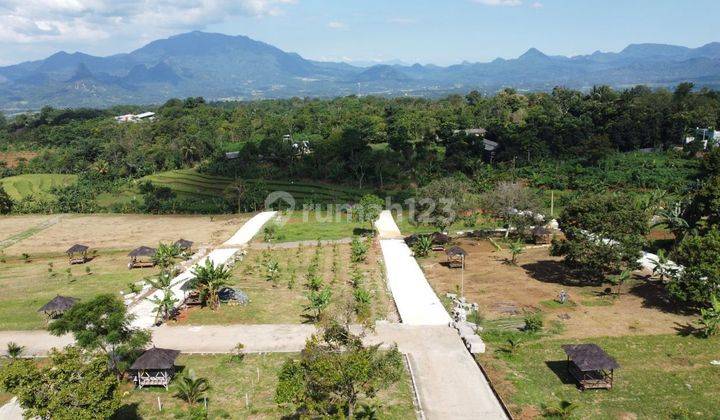 TANAH KAVLING MURAH SUDAH SHM. LOKASI PINGGIR JALAN KABUPATEN 2