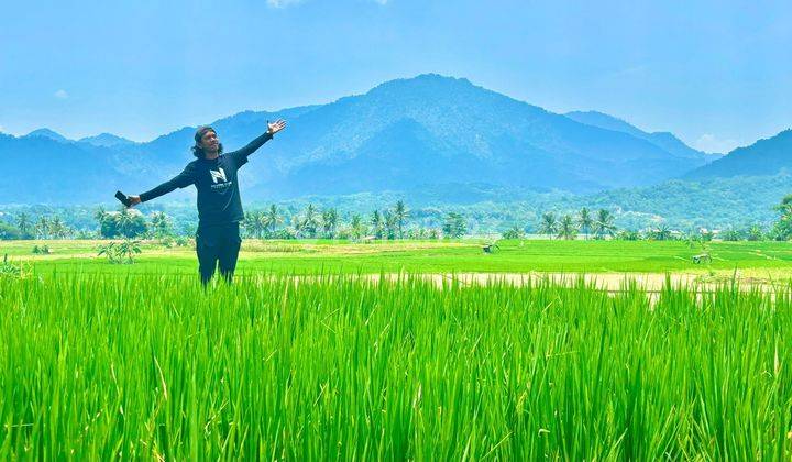 KAVLING SAWAH PRODUKTIF MURAH LOKASI NEMPEL JALAN TRANSYOGI 2