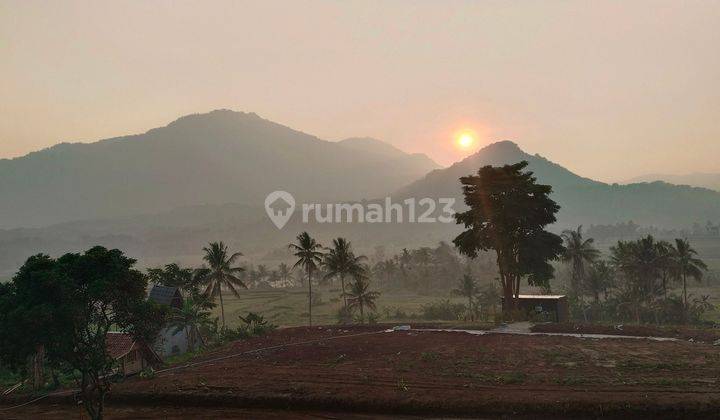 TANAH MURAH NEMPEL JALAN PROVINSI BUSA BANGUN PERMANEN 2