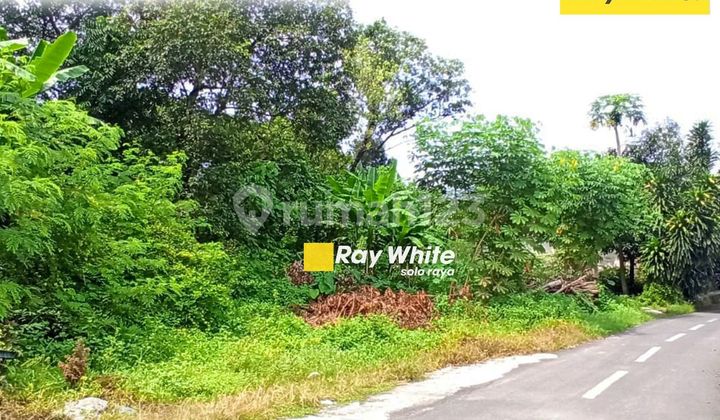 Tanah pekarangan kartosuro Tanah Tanah pekarangan kartosuro Tanah