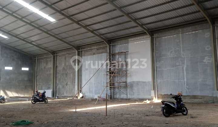 For Sale New Warehouse Brand New