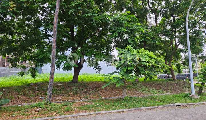 Kavling Rumah Pik, Cluster Kano 14,5x37,5m Hoek Selatan,Boulevard