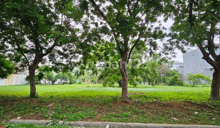 Rare Find House Plot, Cluster Kano 15.5x37.5m South,