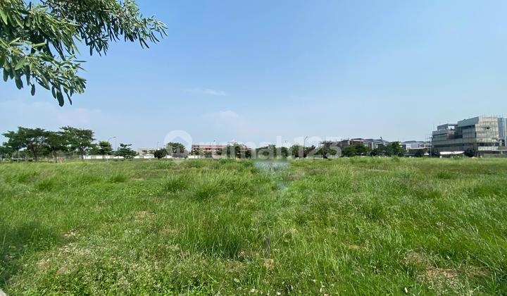 Termurah Jarang Ada Kavling Rumah Bdi 10X30m Pik2 , SHM, Nego