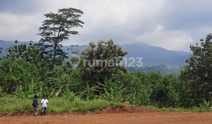 Land Plot For Sale In Puncak 2 Bogor