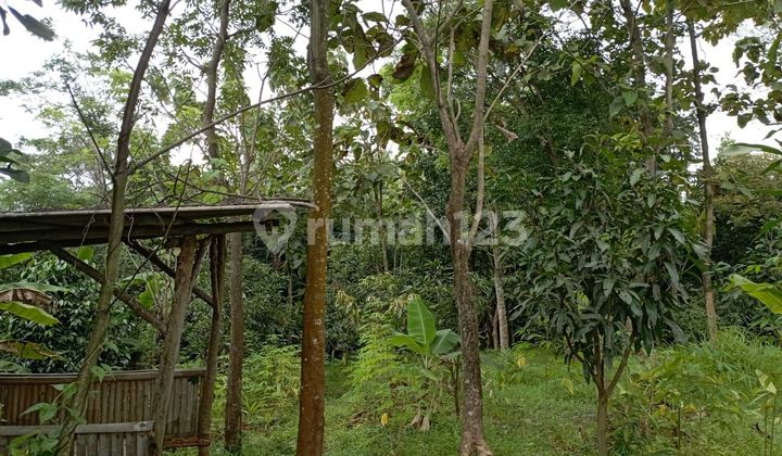 Jual tanah sebelah perumahan BCA kec. Sukahaji kab. Majalengka 1