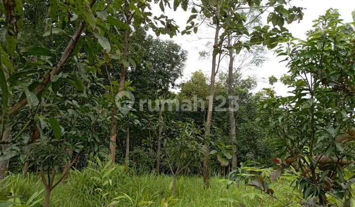 Jual tanah sebelah perumahan BCA kec. Sukahaji kab. Majalengka 2