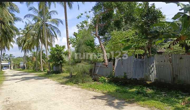 Tanah Dekat Pantai Carita Pantai Kodok