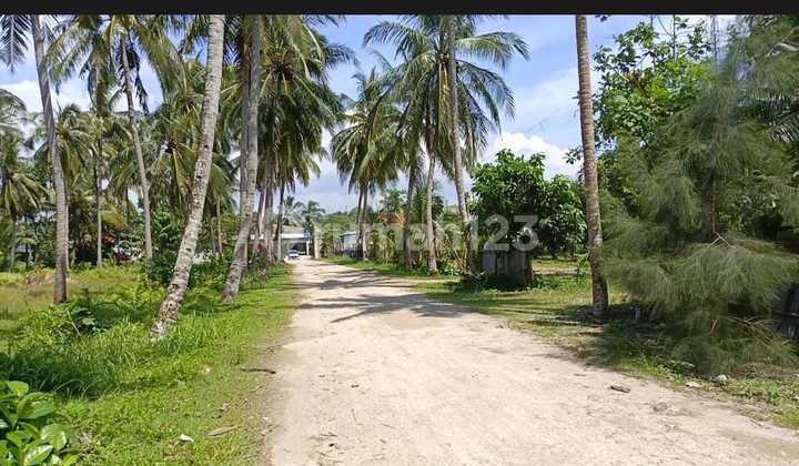Tanah Dekat Pantai Carita Pantai Kodok