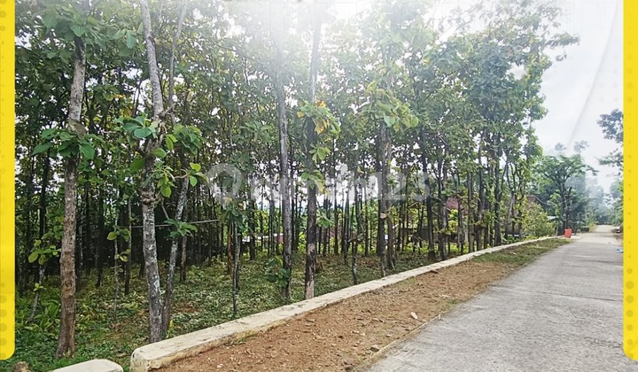 Dijual Tanah Pekarangan Harga Murah Di Sragen Cocok Untuk Invest
