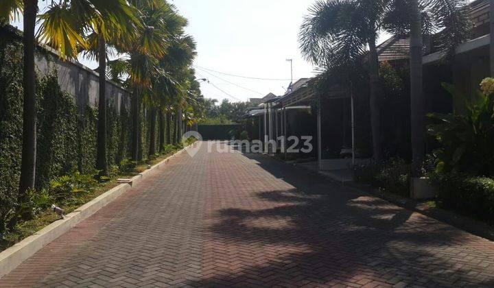 Dijual Rumah Bagus Siap Huni Lokasi Cluster Taman Anggrek Gentan 2