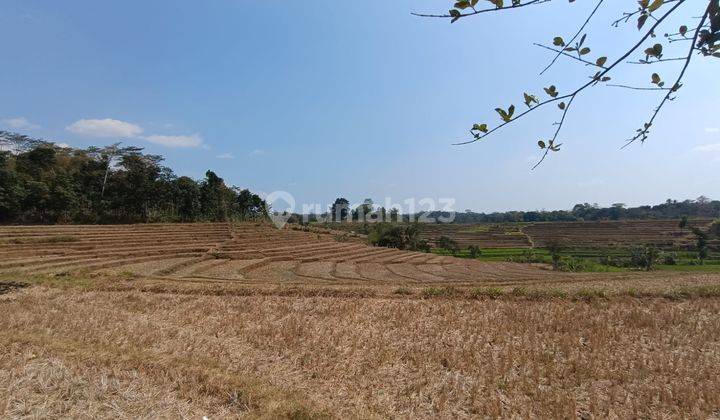 Tanah Pekarangan Zona Kuning Lokasi Mojogedang Karanganyar 2