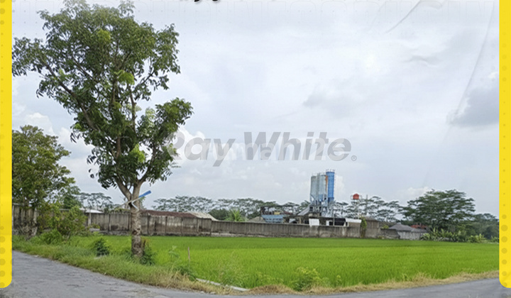 Tanah Hook Zona Industri dan Pergudangan di Triyagan Dekat Tol Tanah Hook Zona Industri dan Pergudangan di Triyagan Dekat Tol