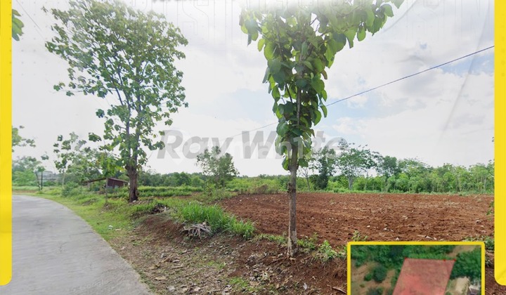 Tanah Pekarangan Harga Murah di Gondangrejo Bagus untuk Perumahan