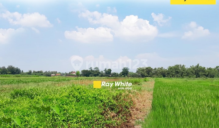 Tanah Sawah Harga Murah Cocok Untuk Invest Lokasi Wonosari Klaten Tanah Sawah Harga Murah Cocok Untuk Invest Lokasi Wonosari Klaten