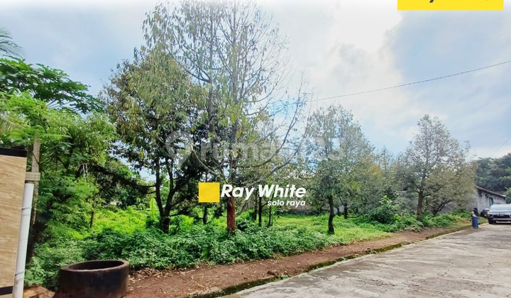 Bonus Land with Durian Orchard in Nogosari Boyolali for Sale at Low Price