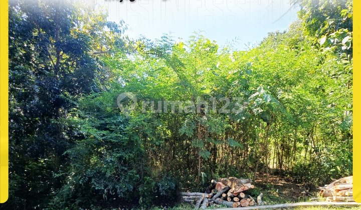 Tanah di Mojogedang Luas 1300M Dijual 180 Juta Saja Tanah di Mojogedang Luas 1300M Dijual 180 Juta Saja