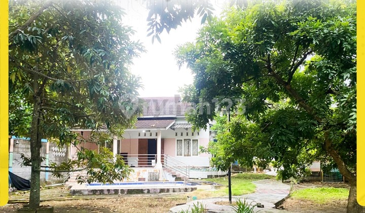 Rumah Siap Pakai di Gentan Luas 930M + Kolam Renang Dijual Murah Rumah Siap Pakai di Gentan Luas 930M + Kolam Renang Dijual Murah