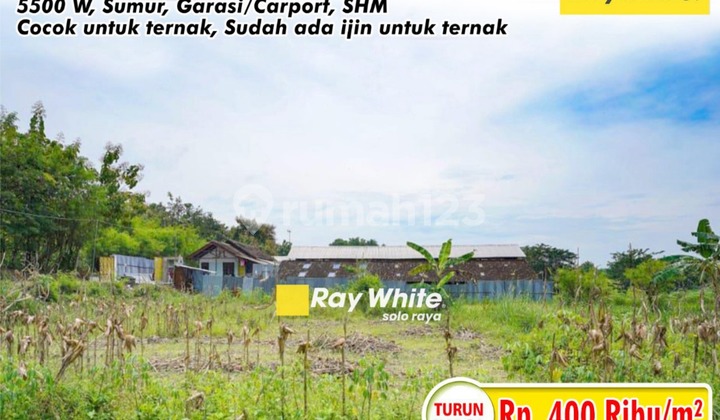 Dijual Tanah Di Gondangrejo Harga Sangat Murah Cocok Untuk Ternak