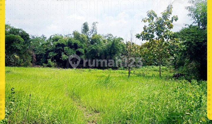 Tanah Luas Harga Murah di Gondangrejo Cocok untuk Investasi