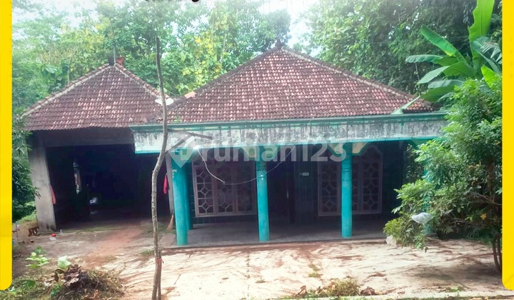 For Sale House in Kedung Jeruk, Mojogedang For Sale House in Kedung Jeruk, Mojogedang