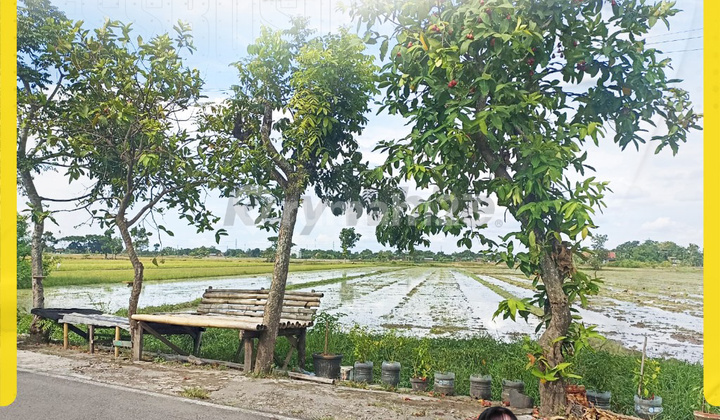 Dijual Tanah Zona Kuning Macasan Baki Cocok Utk Perumahan