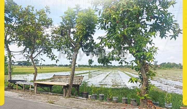 Di Jual Tanah di Mancasan, Baki Di Jual Tanah di Mancasan, Baki