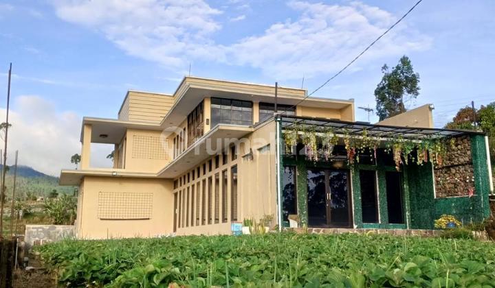 Villa Luas Nyaman 2 Lantai di Rancabali Ciwidey Villa Luas Nyaman 2 Lantai di Rancabali Ciwidey