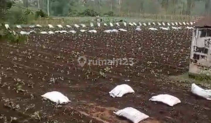 Kavling Luas Posisi Bagus Siap Bangun Di Pangalengan Bandung 1