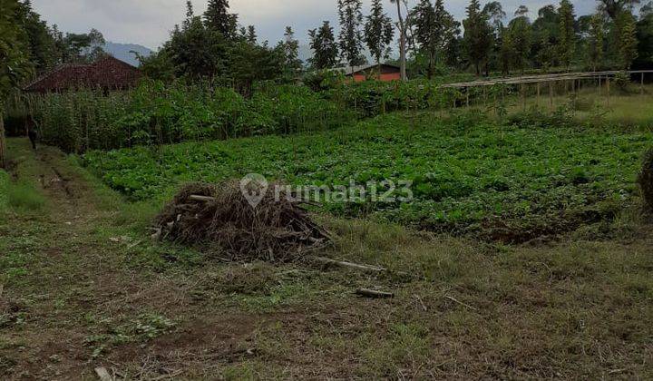 KAVLING LUAS POSISI STRATEGIS SIAP BANGUN DI CIWIDEY BANDUNG 1