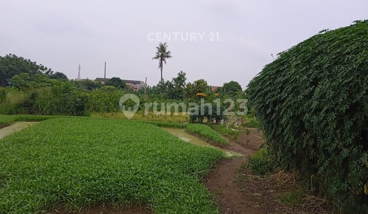 Jual Cepat Lahan Luas Siap Dibangun Area Cimone Tangerang