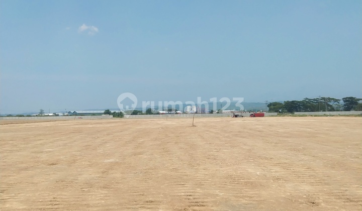 Dijual & Disewakan Lahan Tanah Di Kendal. Lokasi Komersial. Pinggir Jalan Nasional. Bebas Banjir. Harga Super Murah Sekali. Dijual & Disewakan Lahan Tanah Di Kendal. Lokasi Komersial. Pinggir Jalan Nasional. Bebas Banjir. Harga Super Murah Sekali.