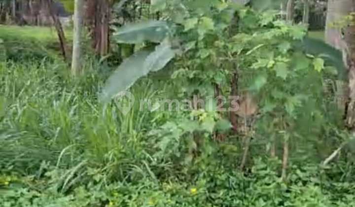 Dijual Tanah Datar 21.600m² Cocok Untuk Perumahan, Gudang Atau Tempat Wisata/rekreasi 1